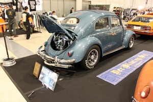 IMG_5242.jpg