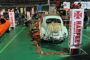 IMG_7030.jpg